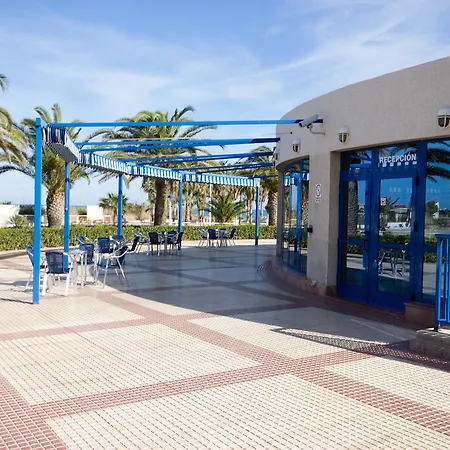 Patacona *